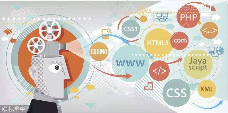 大学生爱谷歌，小学生信索大：巨头结构下的编程教育生态